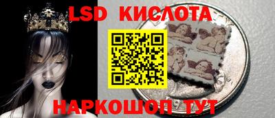трава Сланцы