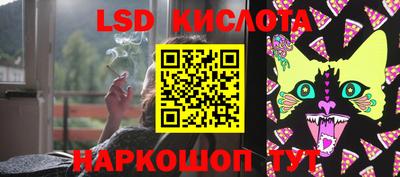 гидра Славгород