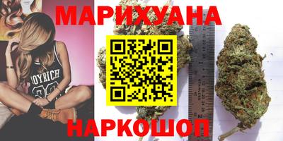 трава Сланцы