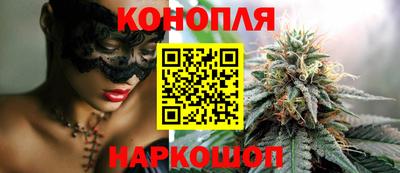 гидра Славгород