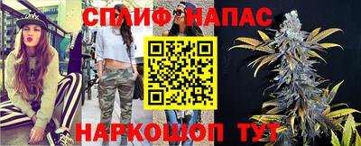 трава Сланцы