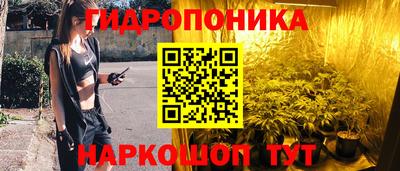 трава Сланцы