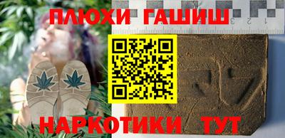 гидра Славгород