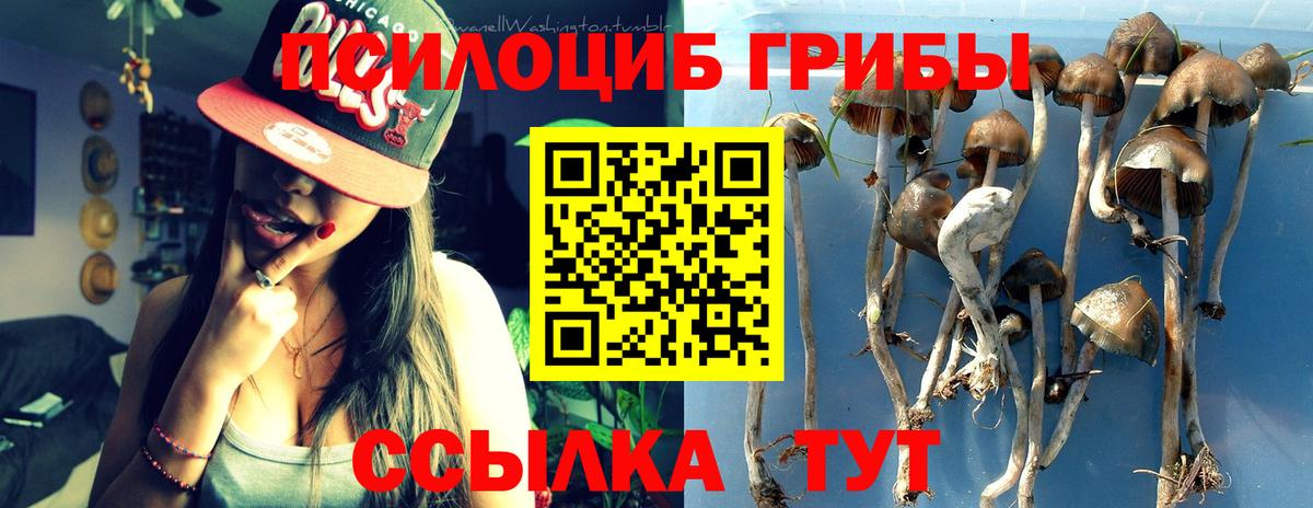 Новый Уренгой  Галлюциногенные грибы GOLDEN TEACHER  Вход с VPN 