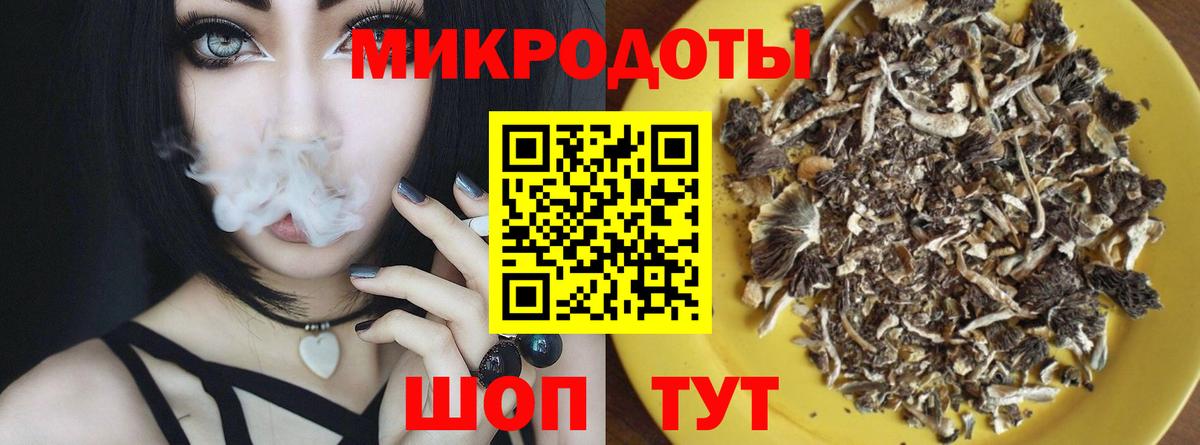 Галлюциногенные грибы Psilocybe Новый Уренгой